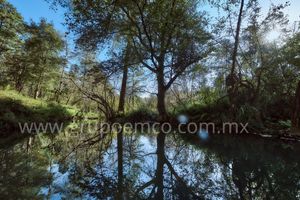 TERRENO CAMPESTRE  RESERVA SAN GREGORIO, CONCEPCIÓN DE BUENOS AIRES