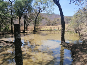 Terreno en Venta en Mazamitla