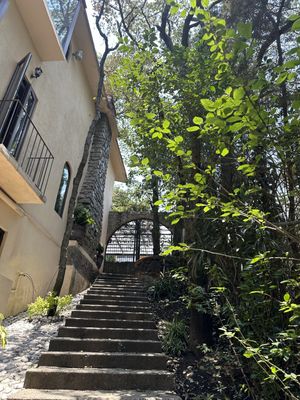 Condado de Sayavedra cálida  casa rodeada de Bosque !