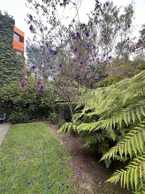 Venta  Bosques de  las Lomas Espectacular Casas estilo Legorreta