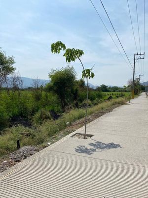 TERRENO EN JOJUTLA CENTRO