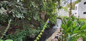 CASA EN LOMAS DE CUERNAVACA