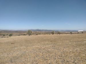 TERRENOS CAMPESTRES CERCA A VALLE DE GUADALUPE