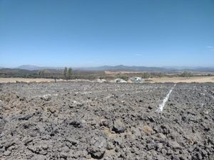 TERRENOS CAMPESTRES CERCA A VALLE DE GUADALUPE