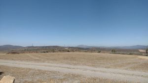 TERRENOS CAMPESTRES CERCA A VALLE DE GUADALUPE