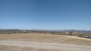 TERRENOS CAMPESTRES CERCA A VALLE DE GUADALUPE