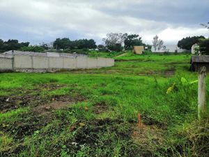 Terreno en venta en Emiliano Zapata zona El Lencero