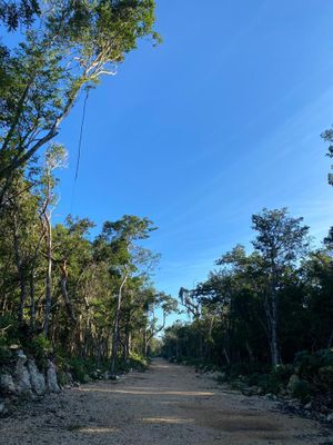 TERRENO EN TULUM, MACARIO GOMEZ