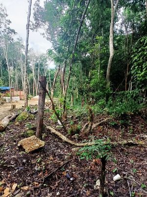 Terreno Muyil Tulum con Cenote