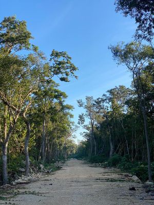 TERRENO EN TULUM, MACARIO GOMEZ