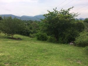 VENTA DE TERRENO EN YAUTEPEC MORELOS