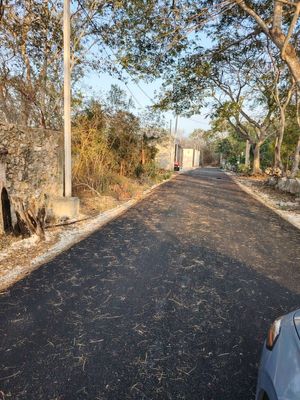 Terreno en zona urbana Conkal