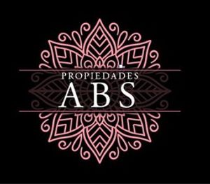 PROPIEDADES ABS