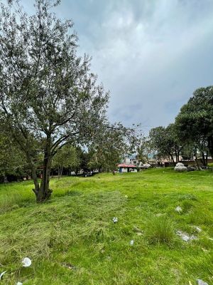 Terreno en Venta en Santo Tomas Ajusco