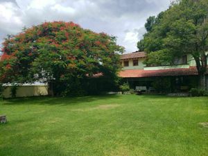 Casa en renta en Hermenegildo Barbieri 33, Ticumán, Tlaltizapán, Morelos.