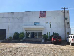 BODEGA CON OFICINAS EN RENTA !TAPACHULA¡