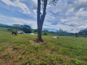 MARAVILLOSO RANCHO EN VENTA