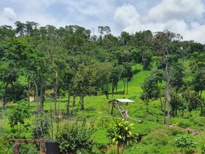 MARAVILLOSO RANCHO EN VENTA