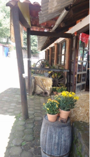 AJUSCO RANCHO EN VENTA TLALPAN CDMX