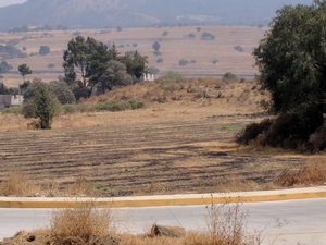 TENANGO DEL AIRE TERRENO HABITACIONAL EN VENTA EDOMEX.