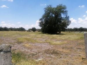 Santa María Coatlán, Terreno en Venta , Teotihuacan, Edo Mex