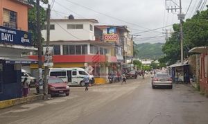 Guerrero,Tecpan de Galeana,Poblado de Tenexpa,Casa,Venta