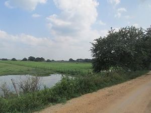 Lote de terreno rústico. Alto Amatitan, Jonutla, Tabasco.