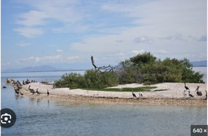 ANGOSTURA TERRENO VENTA SINALOA