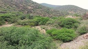 TOLIMÁN, TERRENO VENTA, QUERÉTARO, MEXICO