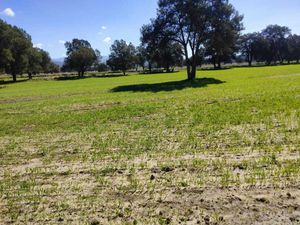 Tetla de la Solidaridad, Terreno Venta, Tlaxcala