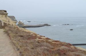 GAVIOTAS TERRENO VENTA ROSARITO BAJA CALIFORNIA NORTE