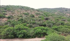 TOLIMÁN, TERRENO VENTA, QUERÉTARO, MEXICO