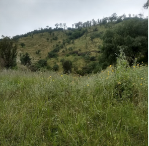 CERRO DE LA ESTRELLA TERRENO HABITACIONAL EN VENTA IZTAPALAPA CDMX.