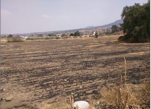 TENANGO DEL AIRE TERRENO HABITACIONAL EN VENTA EDOMEX.