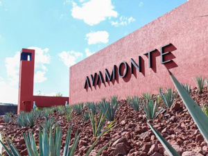 TERRENO EN AYAMONTE JUNTO A JARDIN EN ESQUINA