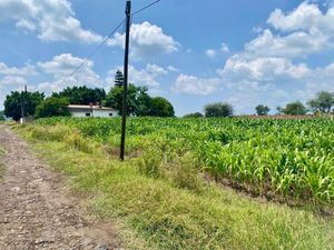 TERRENO IDEAL PARA BODEGA