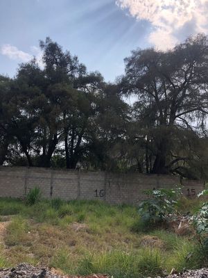 terrenos en Lomas de Cuernavaca privado con vigilancia