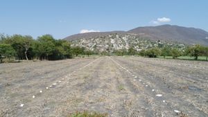 terreno en Parcela de Jojutla