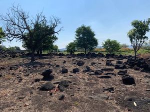 Bonito Terreno en Emiliano Zapata, Morelos 24,000 m2 Plano, Cesiòn de derechos