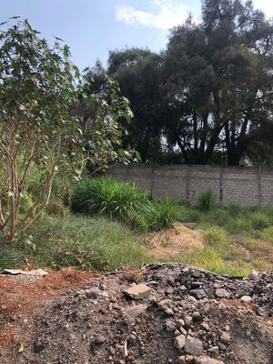 terreno en venta Lomas de Cuernavaca privado con vigilancia