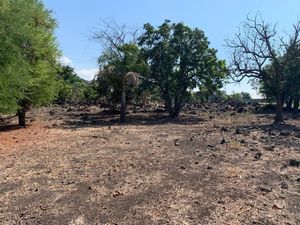 Bonito Terreno en Emiliano Zapata, Morelos 24,000 m2 Plano, Cesiòn de derechos