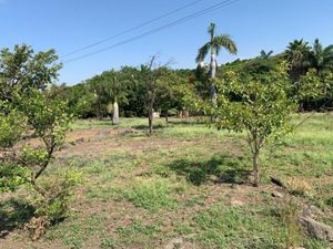 Bonito Terreno en Emiliano Zapata, Morelos 24,000 m2 Plano, Cesiòn de derechos