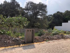 terreno en venta Lomas de Cuernavaca privado con vigilancia