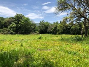 Terreno de 5 hectáreas en Tepoztlán "Zona Pueblo"