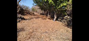 Terreno en Tepoztlán