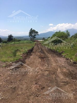 TERRENO EN VENTA SALIDA A QUIROGA EN AGRICOLA CENOPISTA