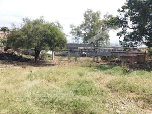 VENTA DE TERRENO EN LA COL. EX HACIENDA DE QUINCEO