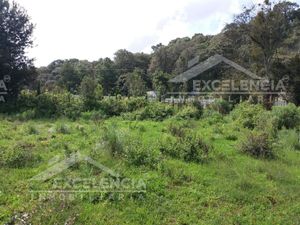 VENTA DE TERRENO EN MUNICIPIO DE PÁTZCUARO A BORDO DE CARRETERA AUTOPISTA.