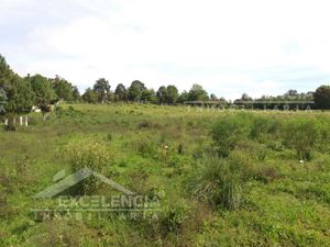 VENTA DE TERRENO EN MUNICIPIO DE PÁTZCUARO A BORDO DE CARRETERA AUTOPISTA.