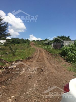 TERRENO EN VENTA SALIDA A QUIROGA EN AGRICOLA CENOPISTA